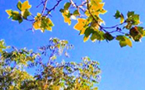 ���P���õ��簲ף���Z�Z�18�l