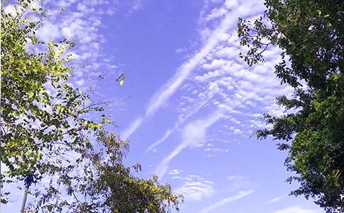 ����Ψ���簲ף���Z110��