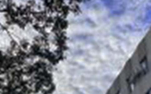 �����A��2023�����õ��簲ף���Z�Z�ժ�65��