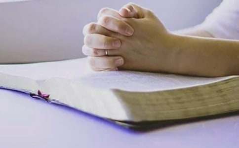 �W�r���˿��Y