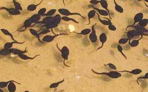 ������OӋ��С����ҋ� ��