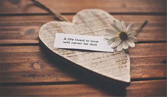 �����邀������㑅R��100��