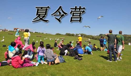 讀《中日夏令營較量》有感