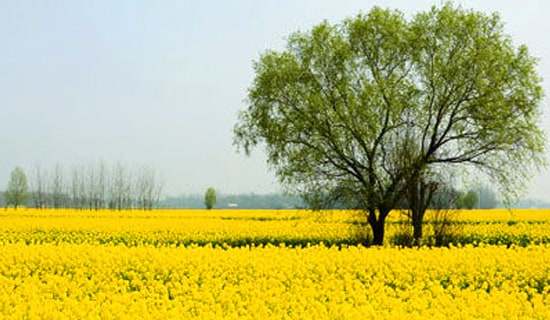 ���x�옷�Ĵ������ĺϼ�ʮƪ