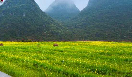 春游科技館作文精選4篇